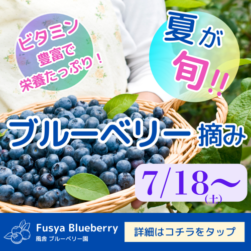 BB開園.png