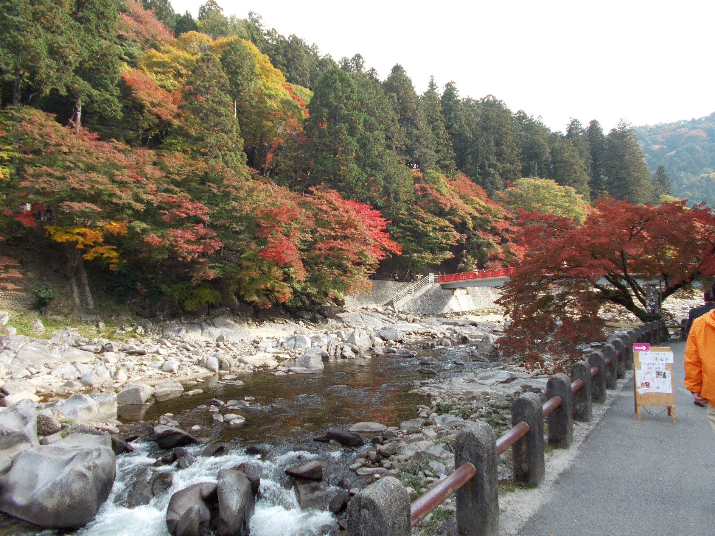 紅葉もいいな（写真：香嵐渓）