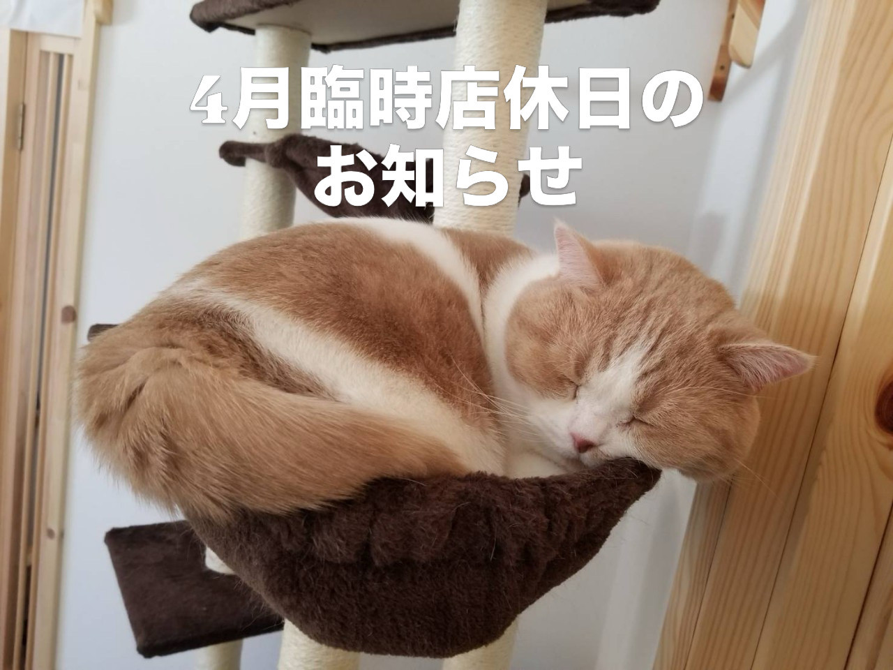 4月の店休日のお知らせ