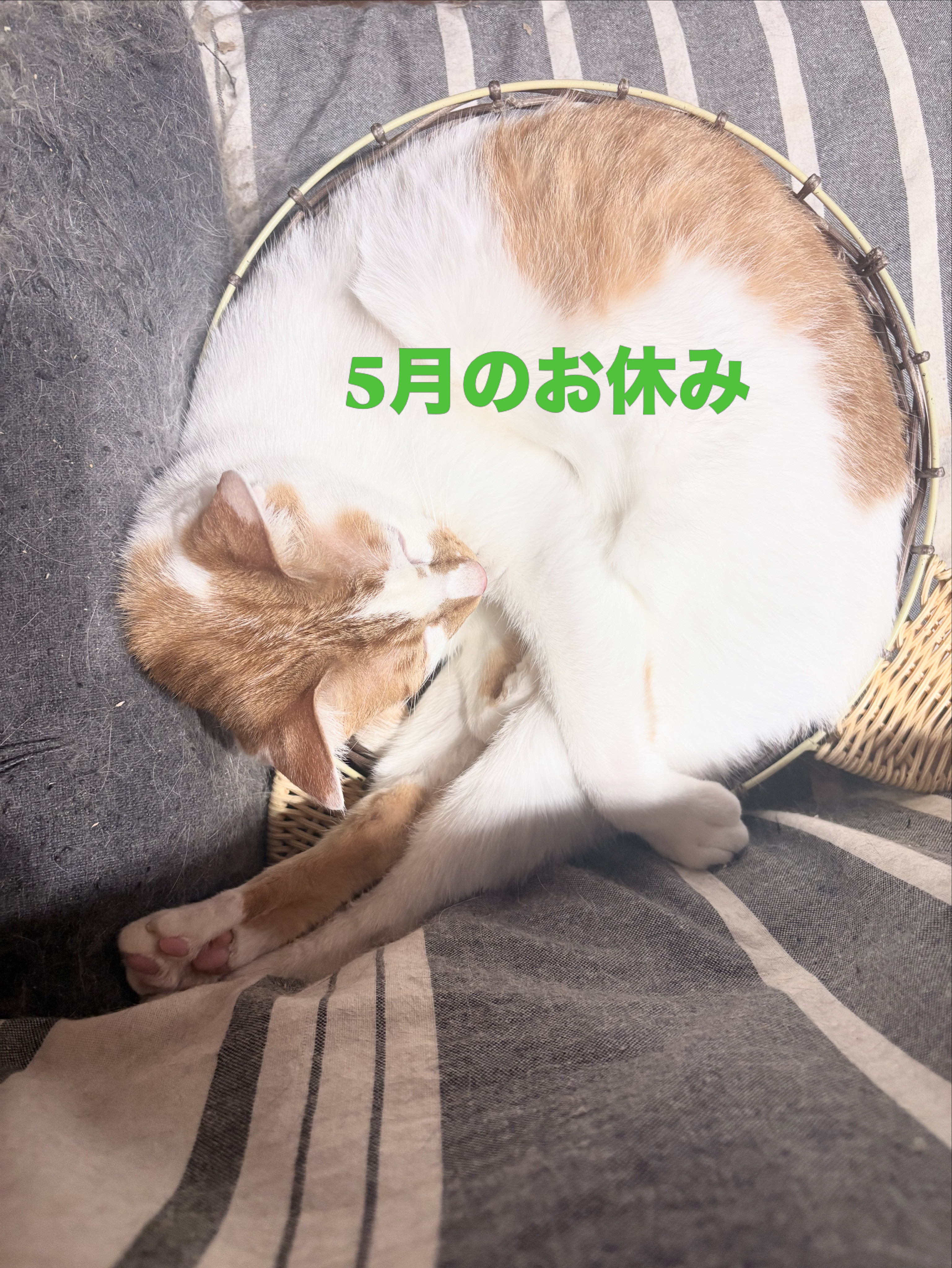 5月の店休日のお知らせ