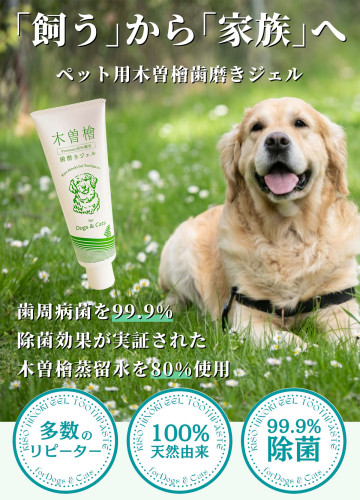 hinoki_pet_01.jpg