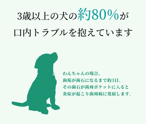 hinoki_pet_03.jpg
