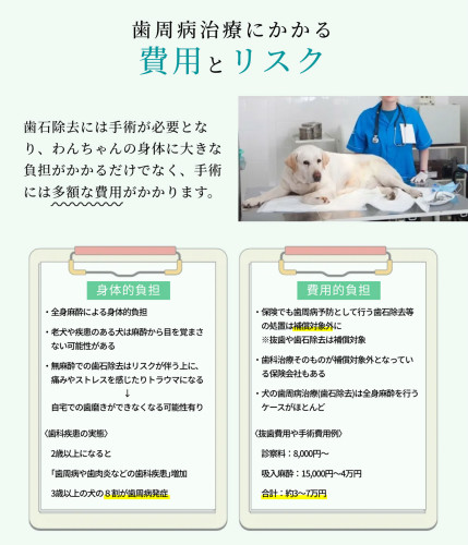 hinoki_pet_05.jpg