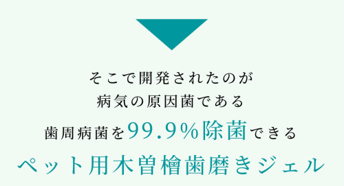 hinoki_pet_06.jpg