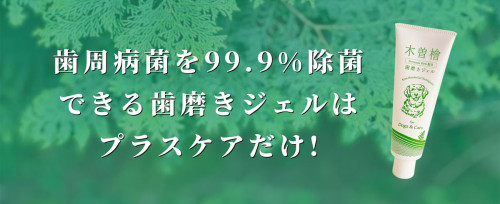 hinoki_pet_09.jpg
