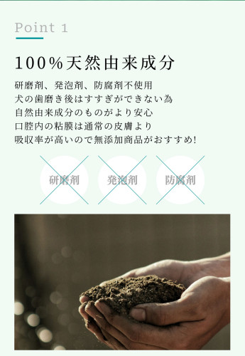 hinoki_pet_10.jpg
