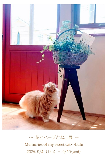花とハーブとねこ展写真.png