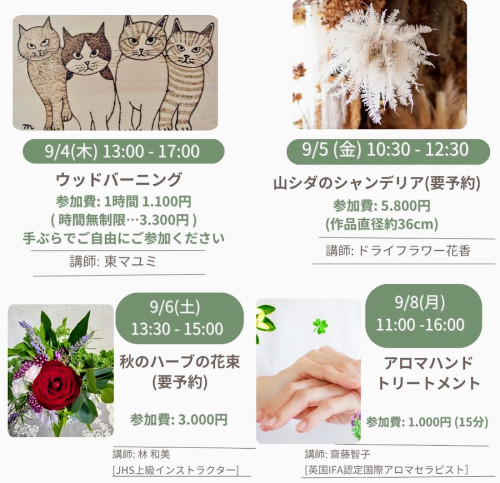 ワークショップのお知らせ