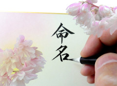 命名.jpg