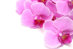 【新企画】お試し体験