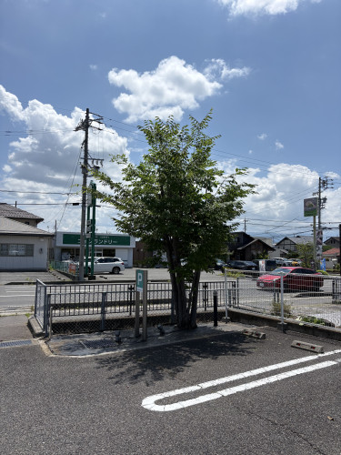 IMG_3084.jpeg