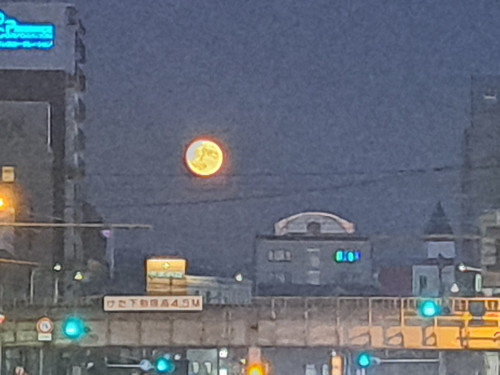 20230929_181058.jpg