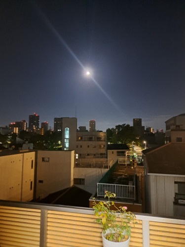 20230930_043441.jpg