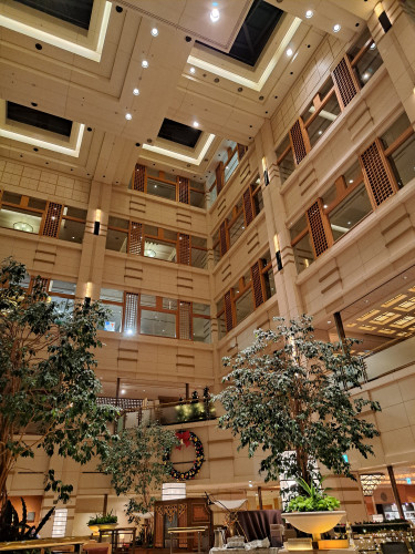 20231127_172246.jpg