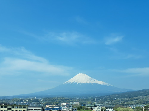 20250417_142927.jpg