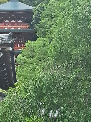 20250522_123308.jpg