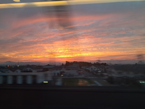 20250608_191456.jpg