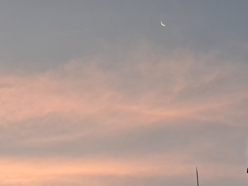 20250622_044019.jpg