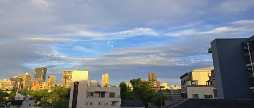 20250718_053552.jpg