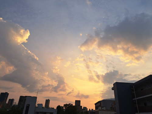 20250815_182901.jpg