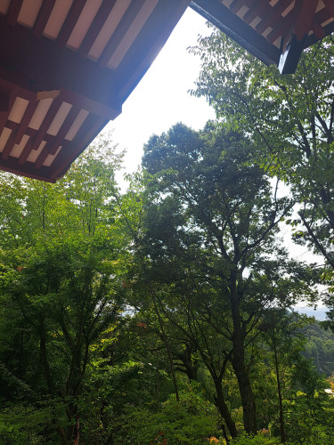 20250824_145034.jpg