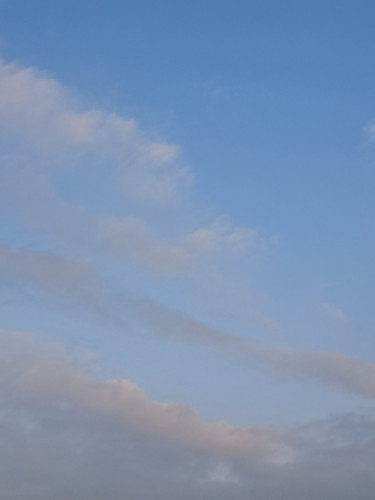 20250829_055907.jpg