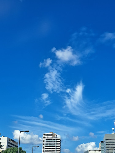20250930_093835.jpg