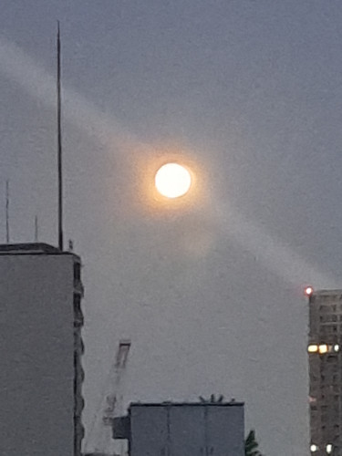 20250908_050147.jpg