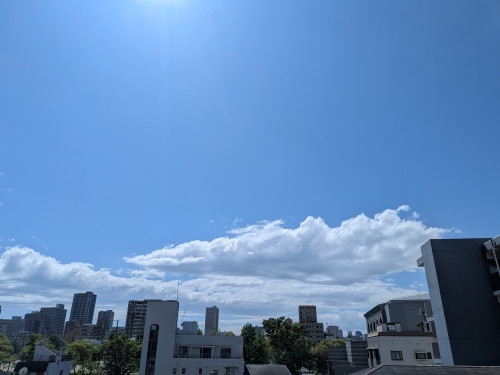 PXL_20260501_050444098.jpg