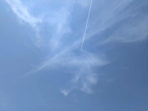 PXL_20260502_022447777.jpg