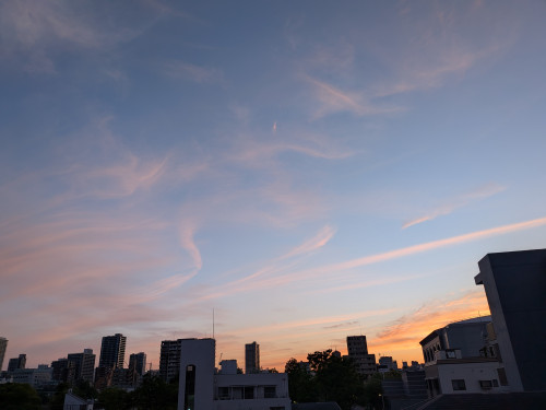 PXL_20260505_094932801.jpg