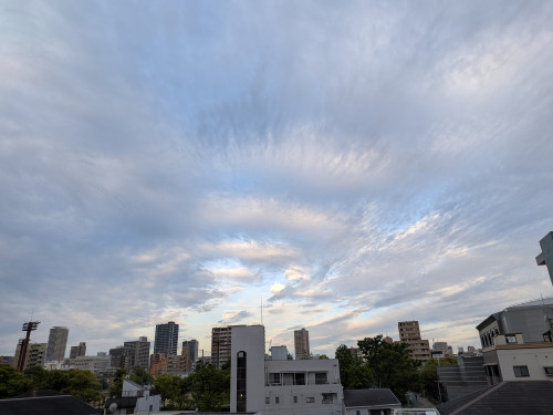 PXL_20260505_203807567.jpg