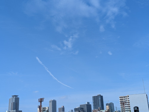PXL_20260520_000047520.jpg