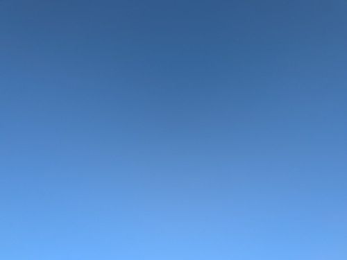 PXL_20260524_204046326.jpg