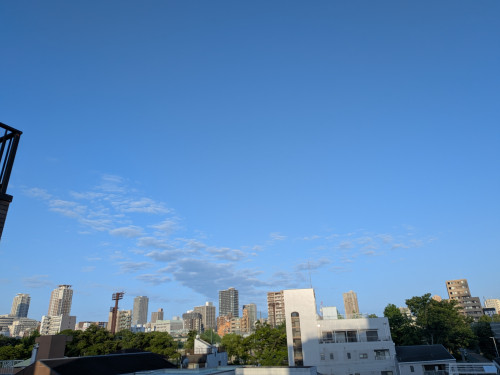 PXL_20260524_204055413.jpg