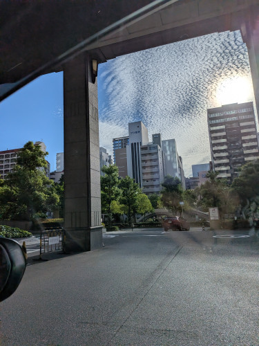 PXL_20260530_075507071.jpg