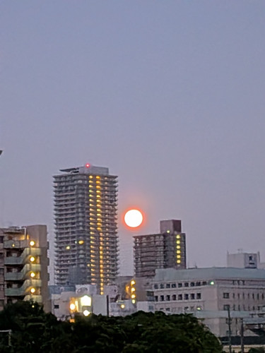 PXL_20260531_191539478.MP.jpg