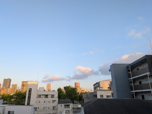 PXL_20260531_201902555.jpg