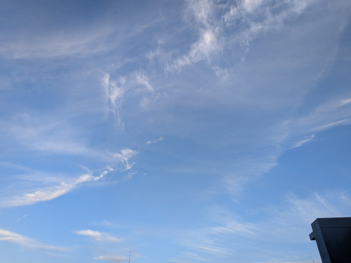 PXL_20260609_200033407.jpg