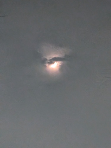 PXL_20260619_122304675.jpg
