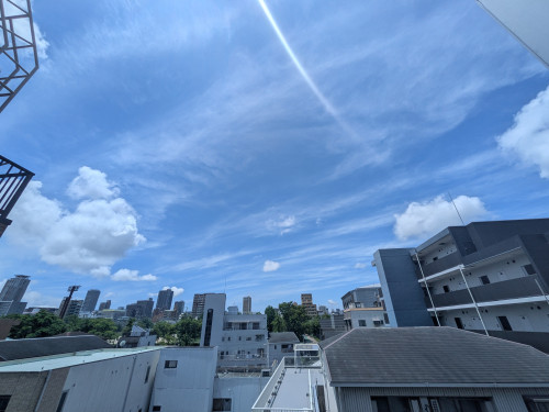PXL_20260702_025433563.jpg