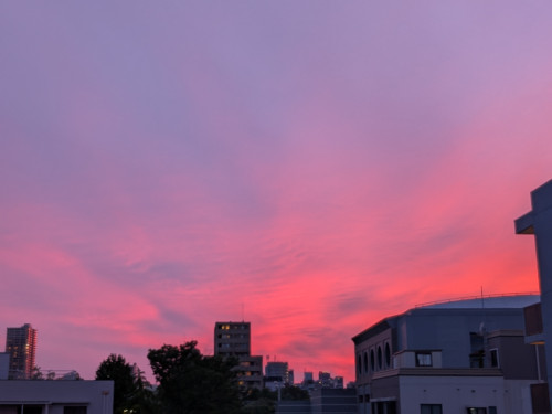 PXL_20260703_102629077.jpg