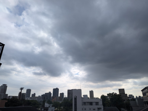 PXL_20260707_071428095.jpg
