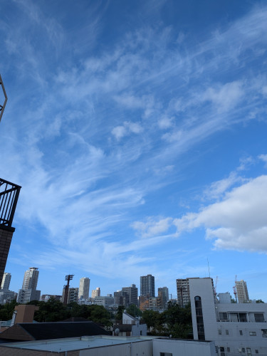 PXL_20260818_221339552.jpg