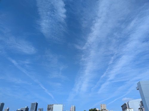 PXL_20260821_235852507.jpg