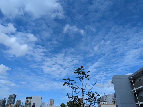 PXL_20260825_235922117.jpg