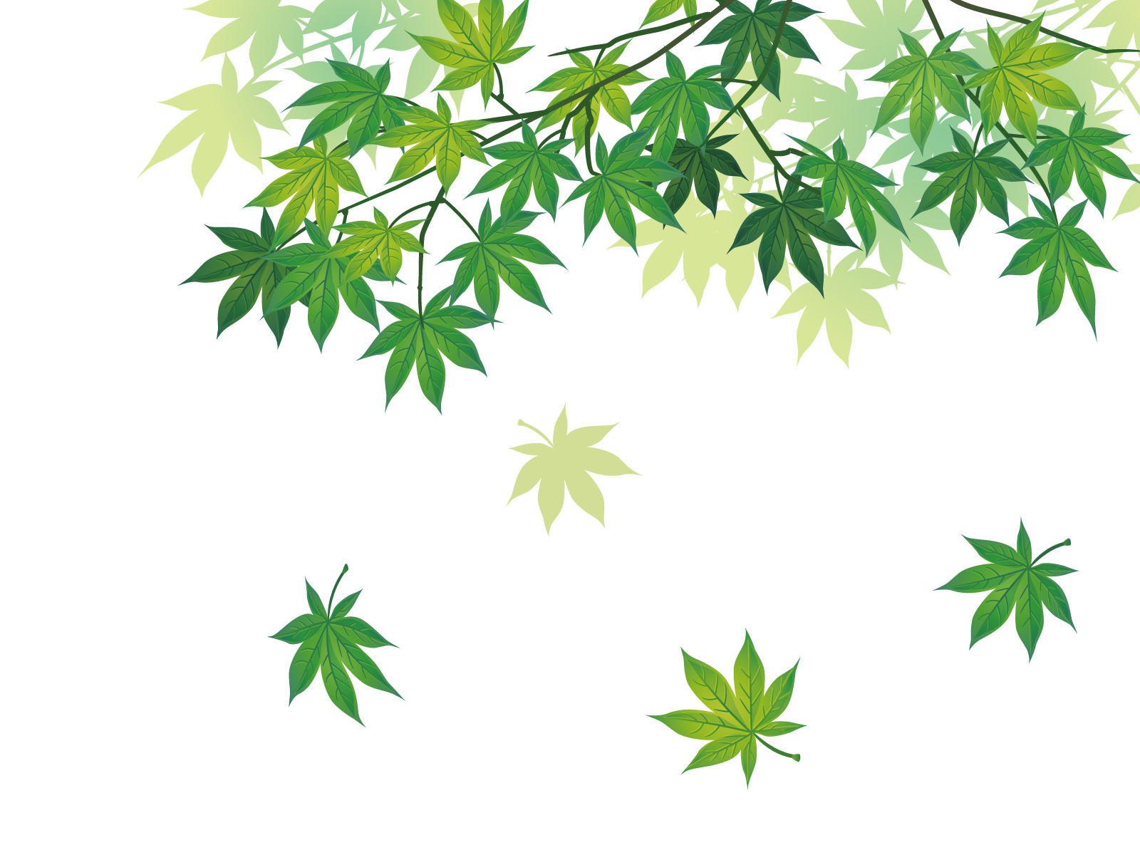 有限会社澤井紙器製作所