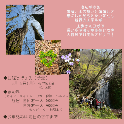 2025春 滝ヨガ石花2.png