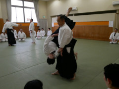 1040505.jpg