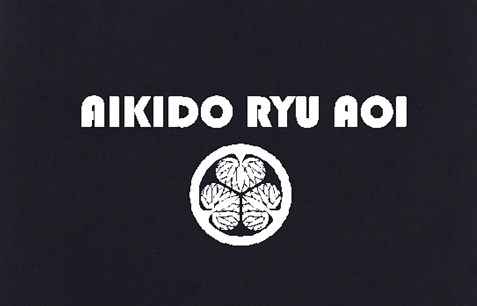 3月29日（日）合気道発表会予行練習